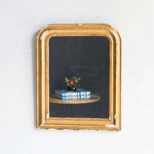 Vintage Gold Leaf Louis Philippe Mirror